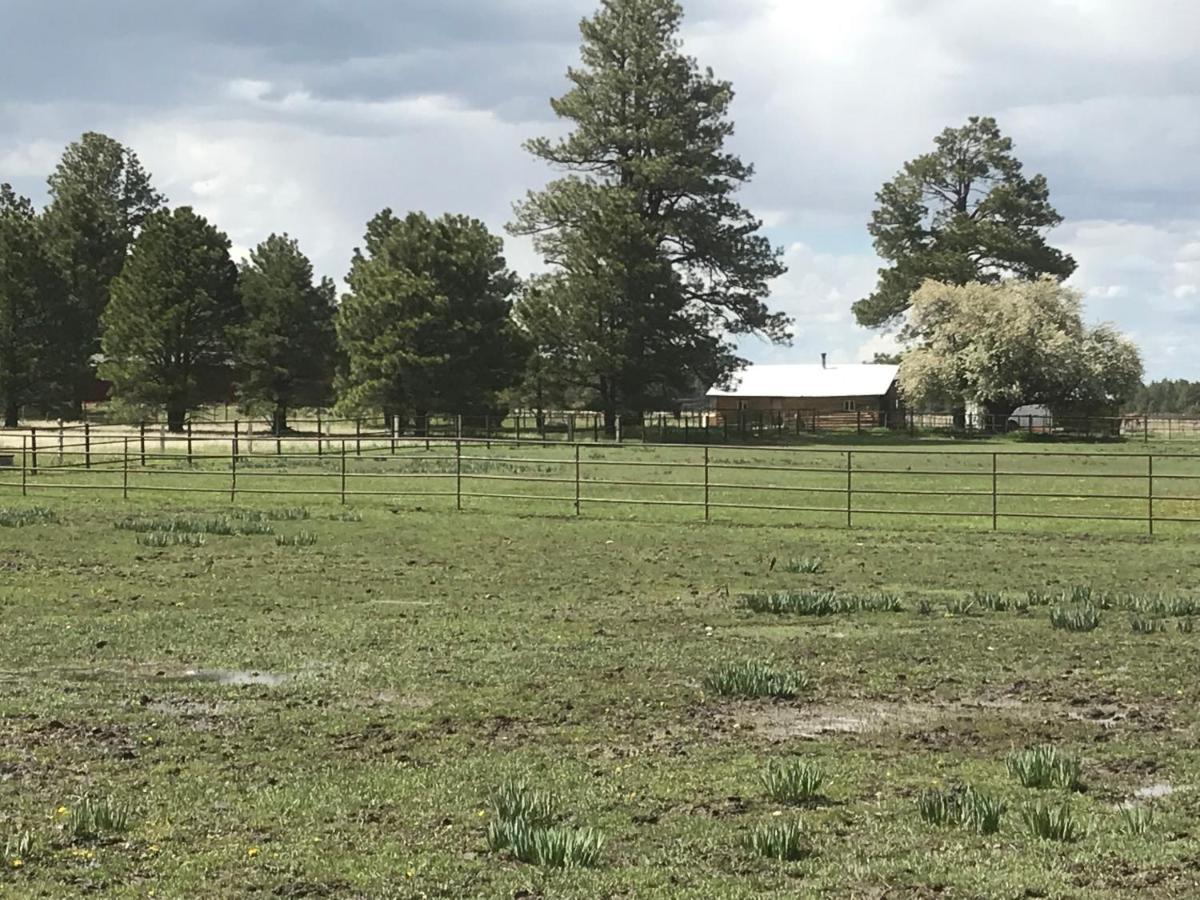 Grand Canyon Cottage At Historic Wrigley Ranch With Horseback Riding & Shooting Parks Exterior foto
